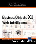 BusinessObjects XI, Web Intelligence vignette